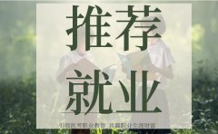 健康管理师报考条件之学历要求?