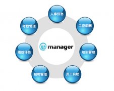 人力资源管理师证书的种类?