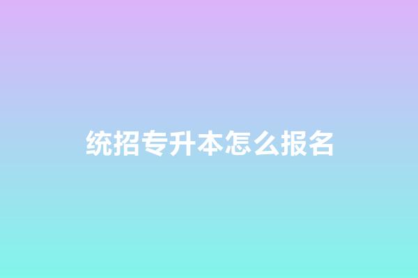 统招专升本怎么报名