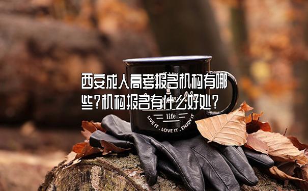 西安成人高考报名机构有哪些?机构报名有什么好处? 西安成人高考报名机构有哪些?机构报名有什么好处?