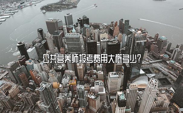 公共营养师报考费用大概多少？