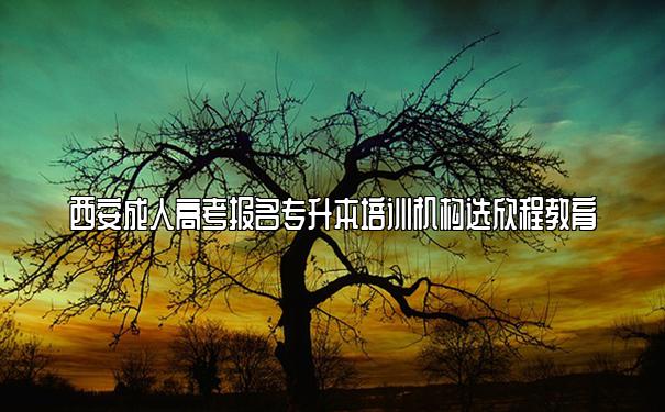 西安成人高考报名专升本培训机构选欣程教育 西安成人高考报名专升本培训机构选欣程教育