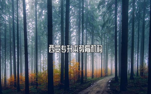 西安专升本教育机构